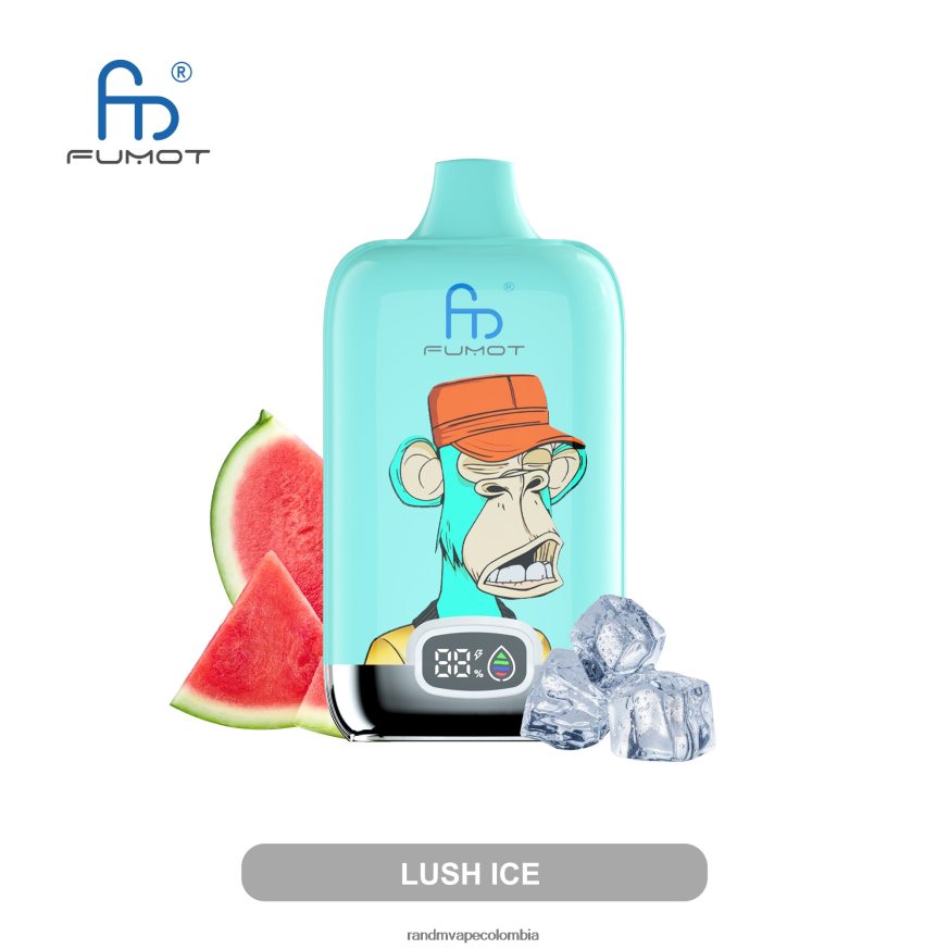 RandM Vape Sale - Fumot Original RandM Digital Box Dispositivo de vapeo con pantalla de líquido y batería 12000 sandia fresa PRN4D45