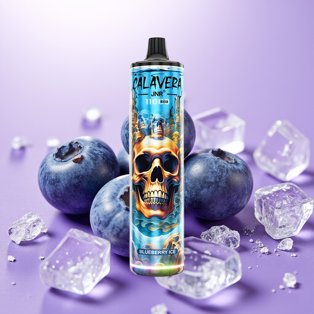 JNR Calavera 11000 Puffs Disposable Vape Arándano Helado con Tipo-C, 850mAh, 21ml