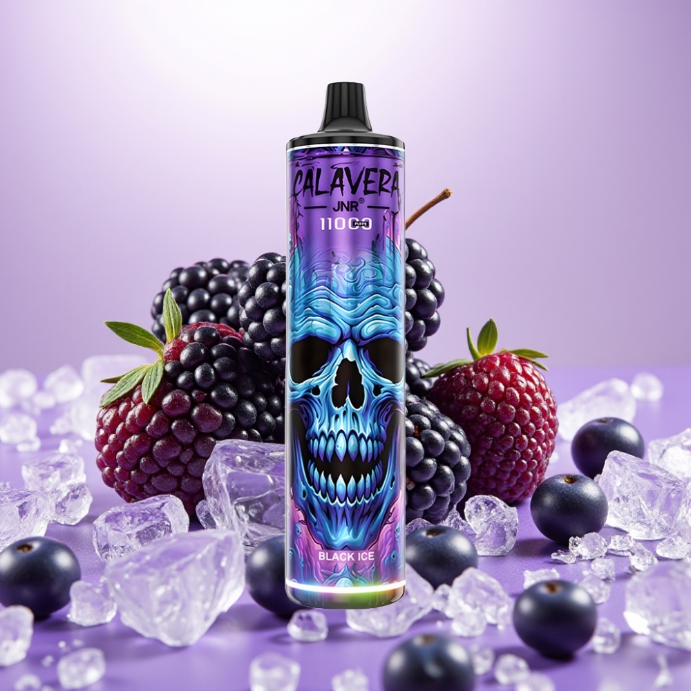 JNR Calavera 11000 Puffs Vape Desechable Hielo Negro con Puerto Type-C y 21ml