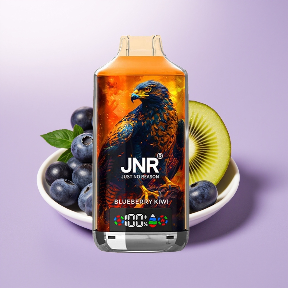 JNR Falcon X 18000 Puffs Vape Desechable Arándano Kiwi con Pantalla Digital, Carga Tipo-C y Doble Bobina