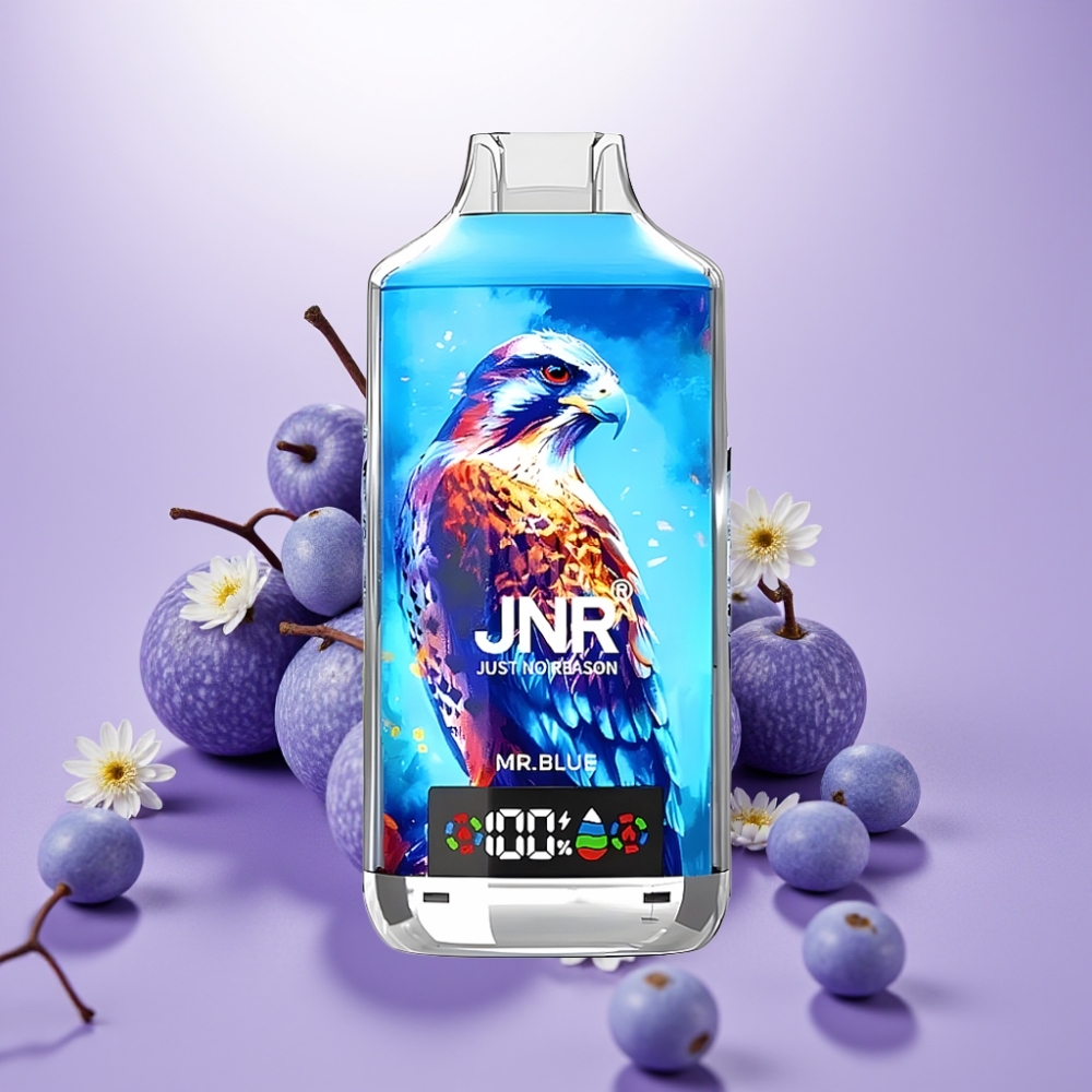 JNR Falcon X 18000 Puffs Vape Desechable Sr. Azul con Pantalla Digital y Carga Rápida Type-C