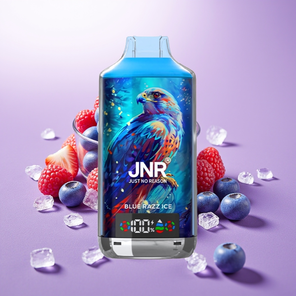 JNR Falcon X 18000 Puffs Vape Digital Display Tipo-C Arándano Azul Hielo