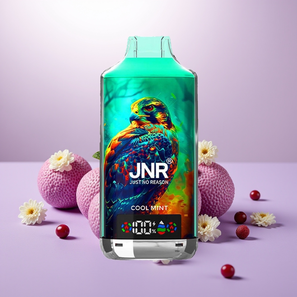 JNR Falcon X 18000 Puffs Vape Menta Fresca con Pantalla Digital y Carga Rápida Type-C