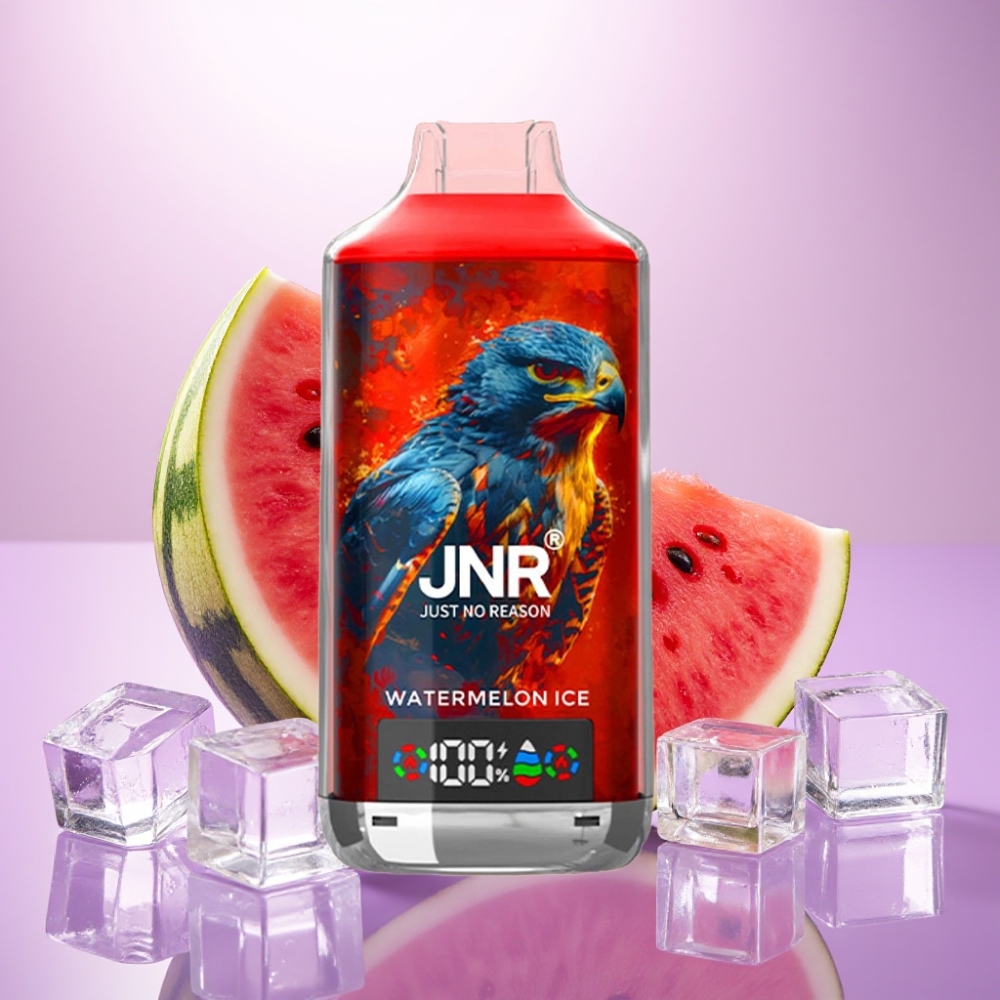 JNR Falcon X 18000 Puffs Vape Sandía Helada – 24ml, Dual Mesh Coil, Pantalla Digital, Tipo-C