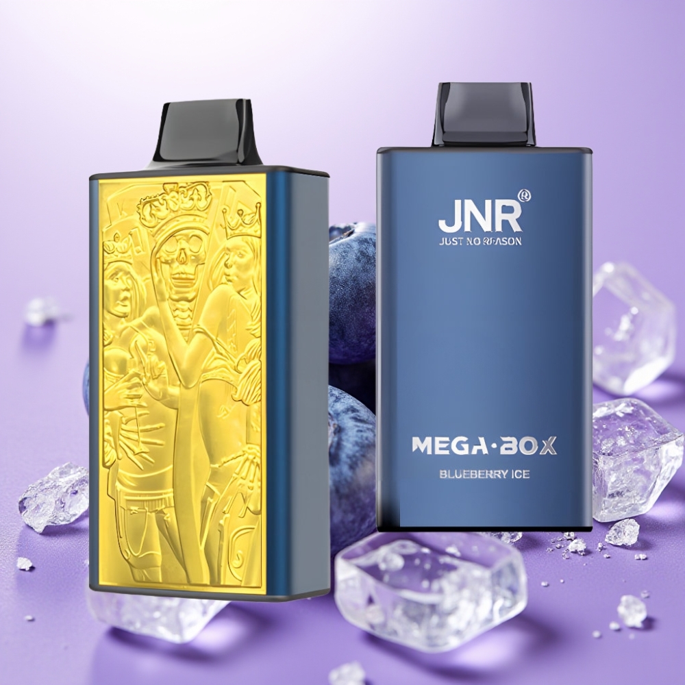 JNR Mega Box 25000 Puffs Vape Desechable con Carga Rápida Type-C y Sabor Arándano Azul Hielo