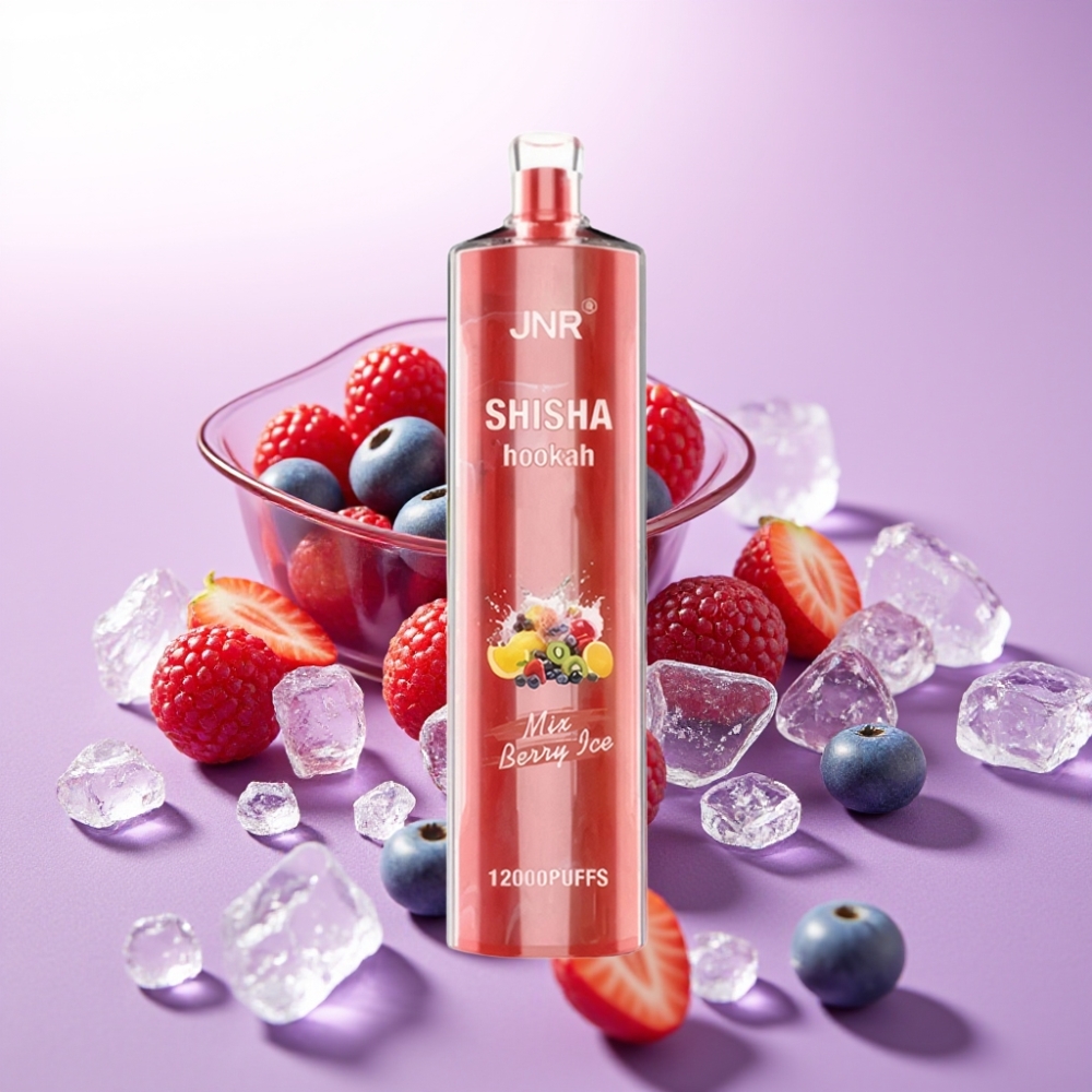 JNR Shisha Hookah 12000 Puffs Vape Desechable Berry Ice – 24ml, 750mAh, Carga Tipo-C